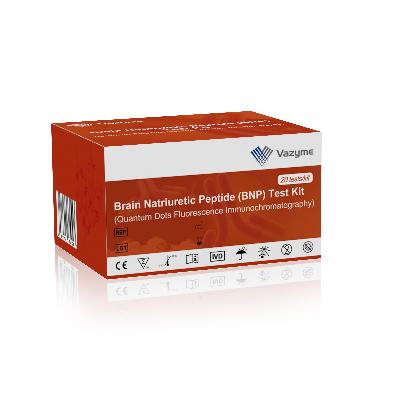 Brain Natriuretic Peptide (BNP) Antibody _ EastCoast Bio