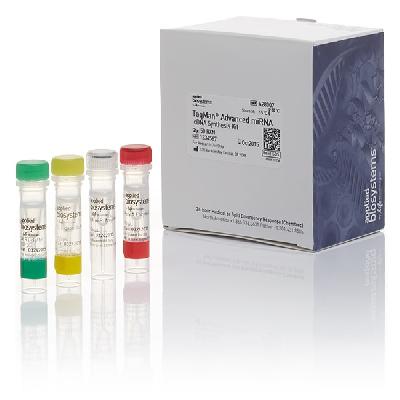 CDNA Synthesis Kit