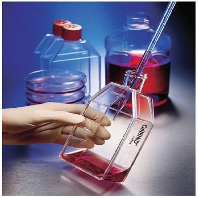 Cell Culture Dish And Flask