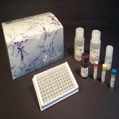 Elisa Kit