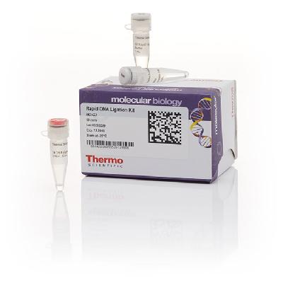 Fast-Link  DNA Ligation Kit 50 Ligations
