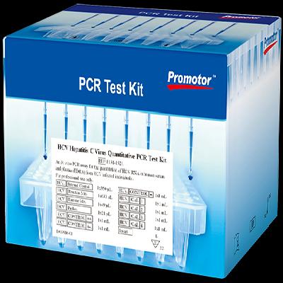 HCV RT PCR  Kit