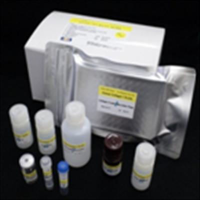 Human Elisa Kit