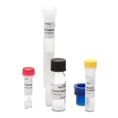 Protein Labelling Kit
