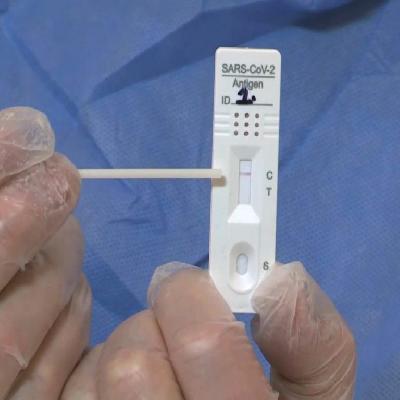 Rapid Antigen Test KIt