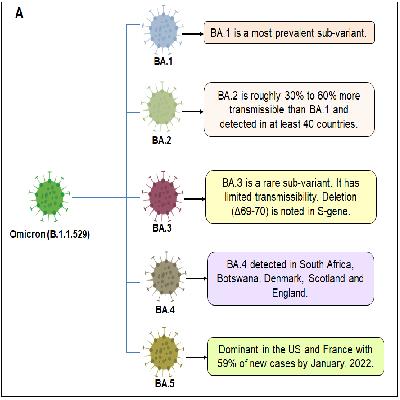 SARS-CoV-2 Variant Valu Panel (P681H) 1000 Reactions