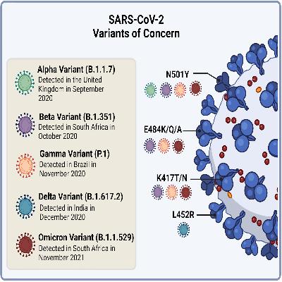SARS-CoV-2 Variant ValuPanel (K417T) 1000 Reactions