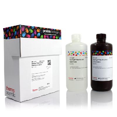Super Signal Chemiluminescent Substrates