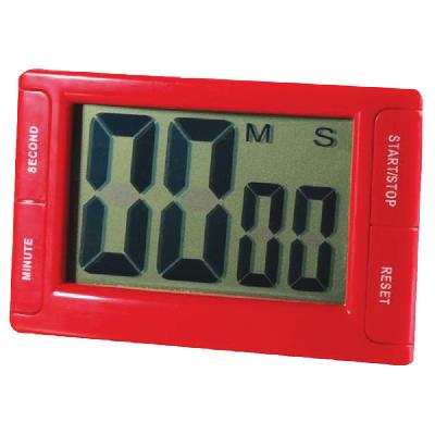 Digital Timer