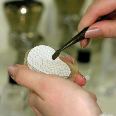 Membrane Filter