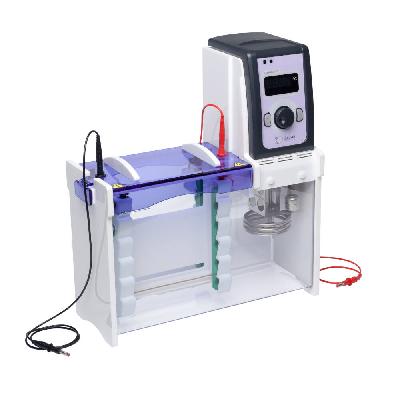 Gel Electrophoresis System