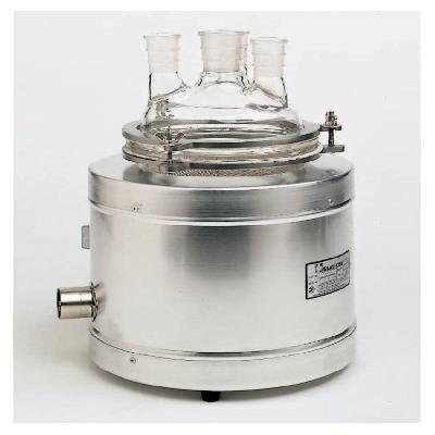 Reaction Kettle