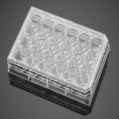24 Well Cell Culture Plate