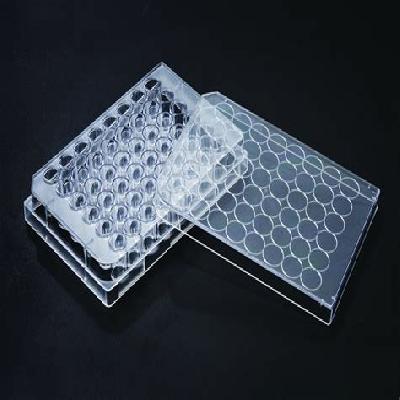 48 Well Cell Culture Plate