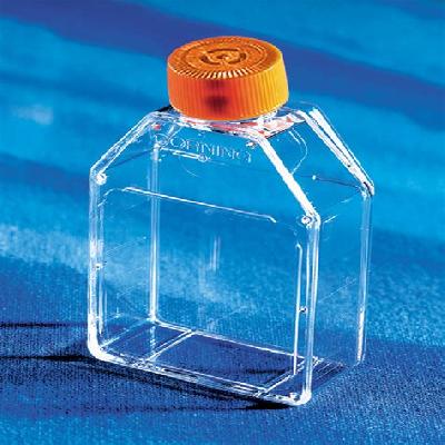Cell Culture Flasks