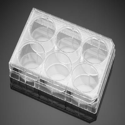 Cell Culture Multiwell Plates