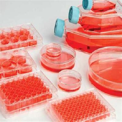 Cell Culture Products