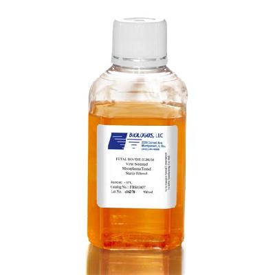 Fetal Bovine Serum