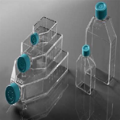 Filter Cap Cell Culture Flasks
