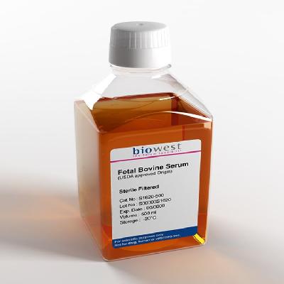 Foetal Bovine Serum