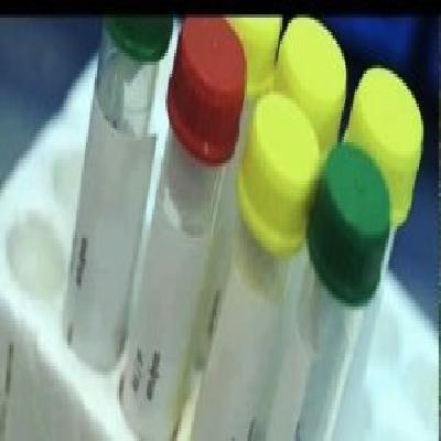 Molecular Biology Kits 