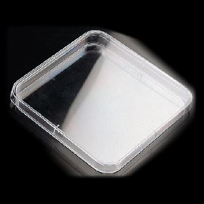 Petri Dish Square