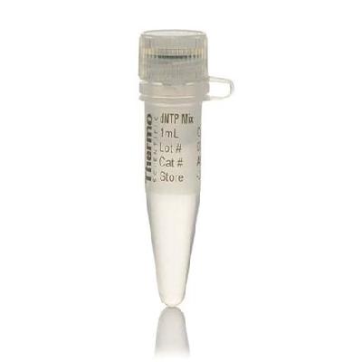 dNTP Mix BIOLINE