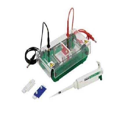 Gel Scoop Tarson 923110