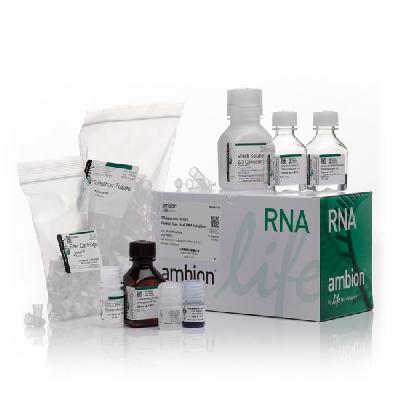 ISOLATE II RNA Mini Kit BIO-52071