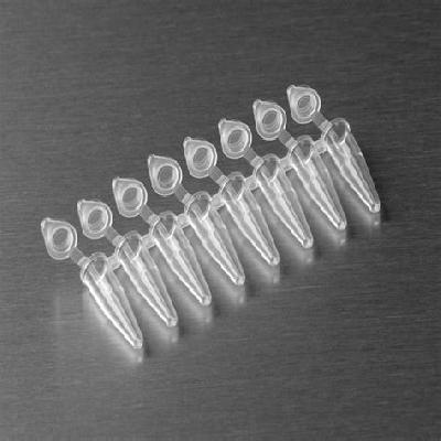 Pr17-8-Strip Tubes Optically Clear Flat Caps For Real-time PCR  1x125no