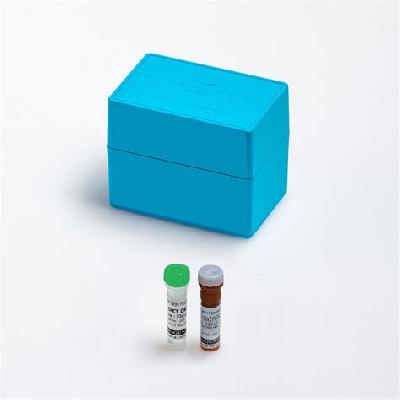 qPCR Extraction Control Orange MDX027