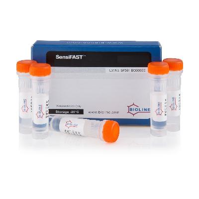 qPCR Extraction Control Red MDX026 BIOLINE