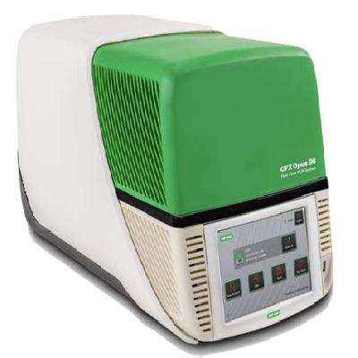RT PCR Machine