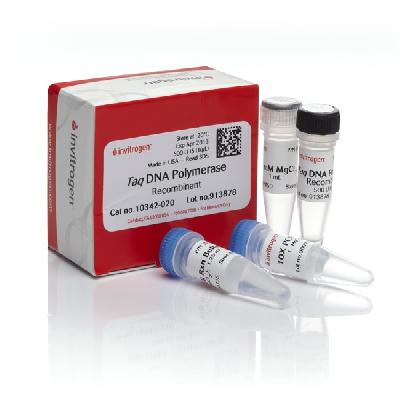 Velocity Dna Polymerase Bio-21099