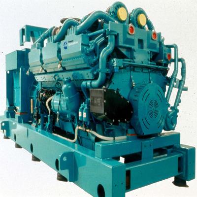 Diesel Engine Generator Set