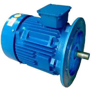 Flange Motors