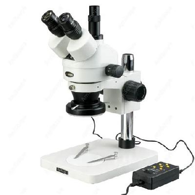 Trinocular Microscope