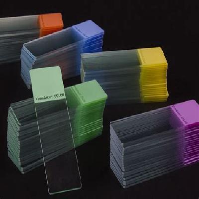 Microscopic Slides