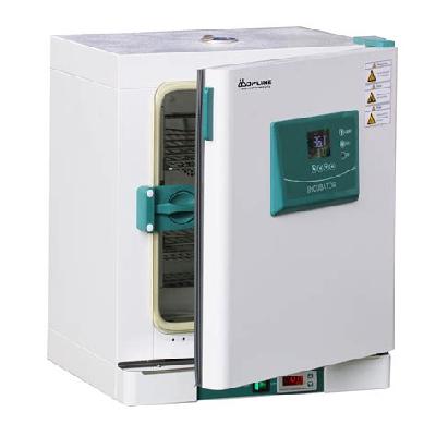 Constant Temperature Incubator