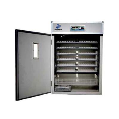 Fixed Operation Type Incubator