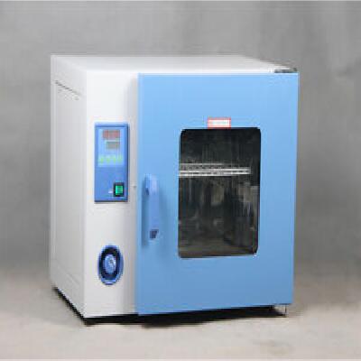 Laboratory Constant Temperature Drying Oven