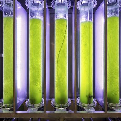Algae Glass Bio Reactor