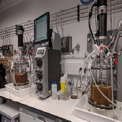 Biofermentor