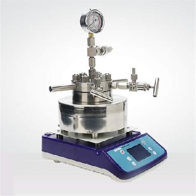 High Pressure Hydrothermal Synthesis Autoclaves