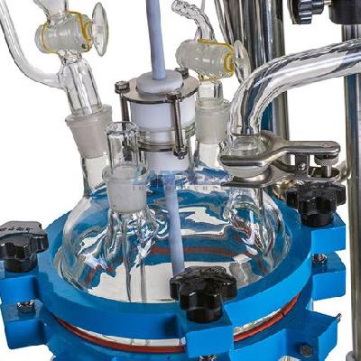 Multipurpose Glass Reactor