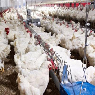 Corrosion-Restant Feeding System