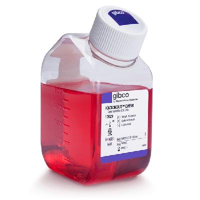 Cell Culture Media
