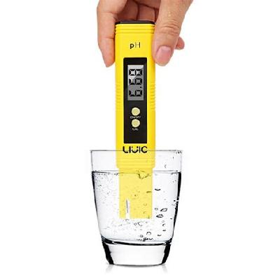 pH Electronic Meter