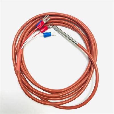 4-Wire Pt100 Thermometer with Fixed Probe