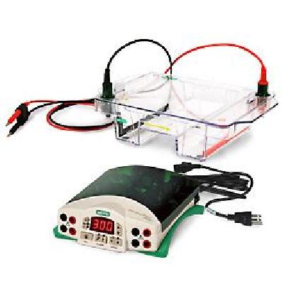 Horizontal Electrophoresis System